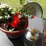 Attico Panoramico Tra E Mare Con Giardino Deluxe Pesaro