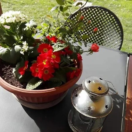 Attico Panoramico Tra Verde E Mare Con Giardino Deluxe Pesaro